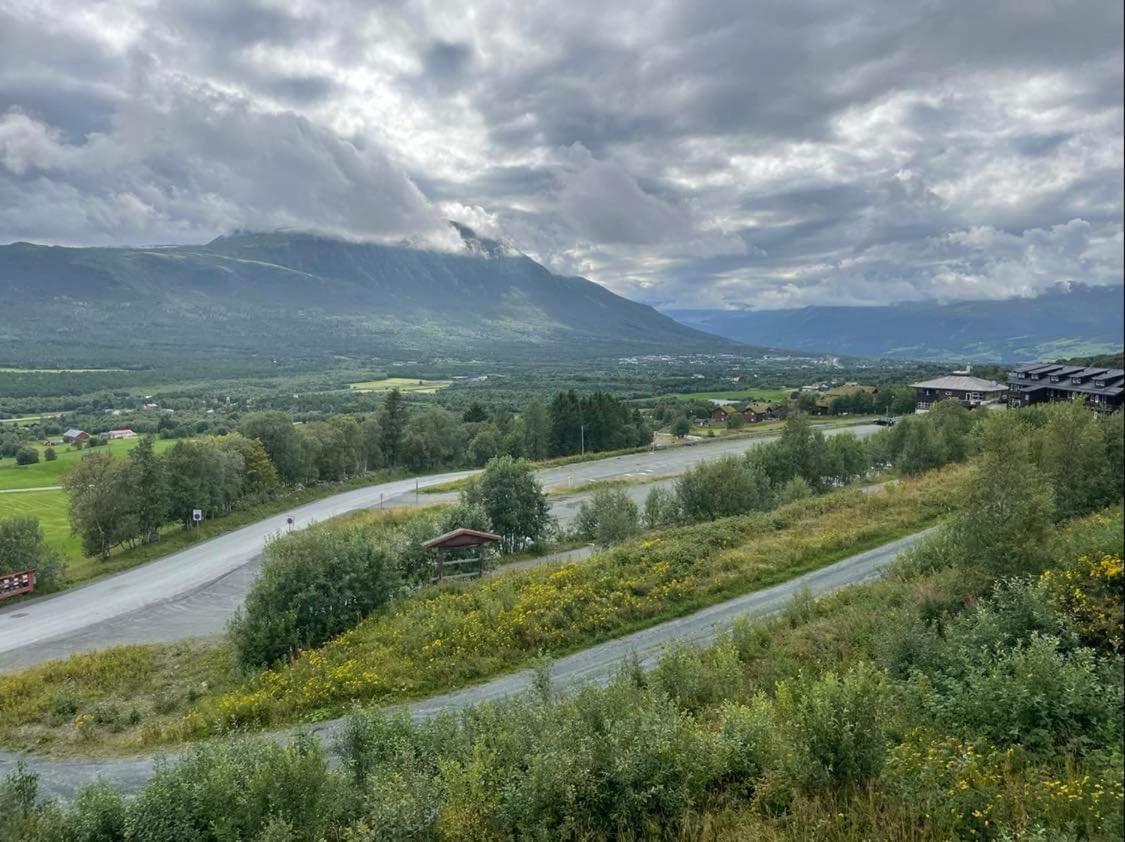 Privat Apartment With Beautiful View And Two Bedrooms Oppdal Luaran gambar
